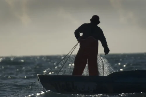 Fisherman with a gillnet off San Felipe