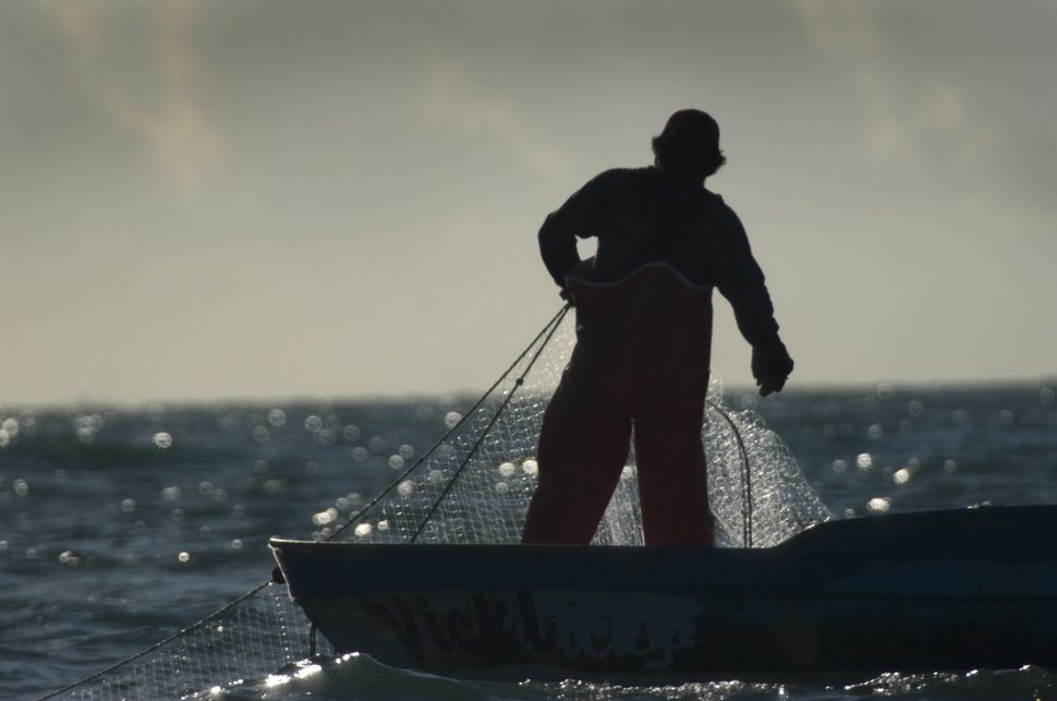 Mexico announces permanent ban of gill-nets in vaquita habitat