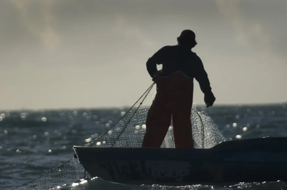 Mexico announces permanent ban of gill-nets in vaquita habitat — Porpoise  Conservation Society