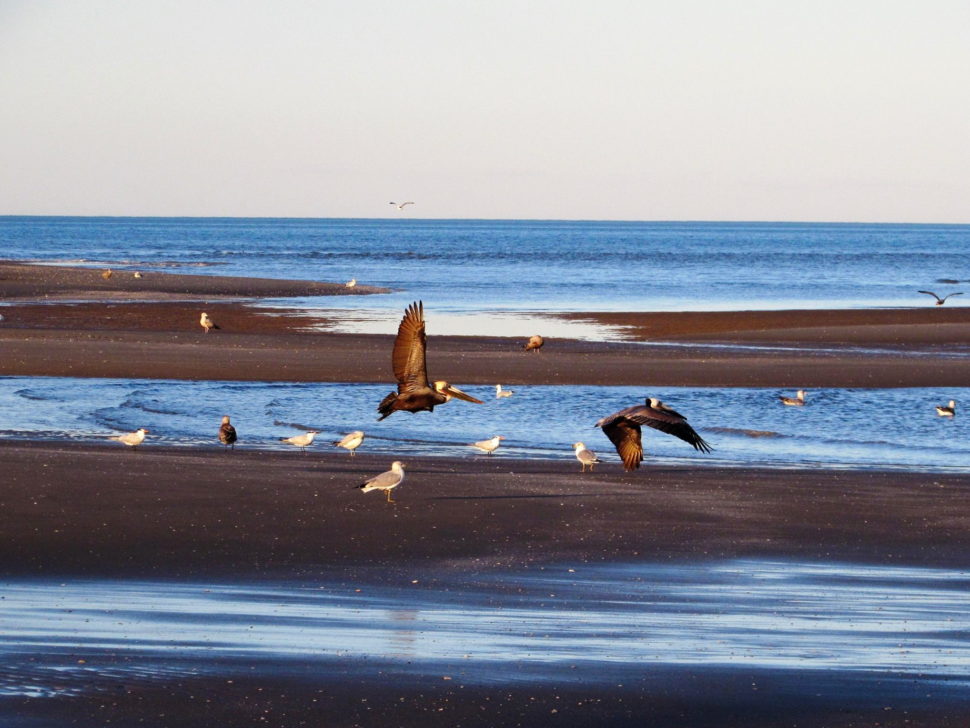 Sea of Cortez off San Felipe, Baja California